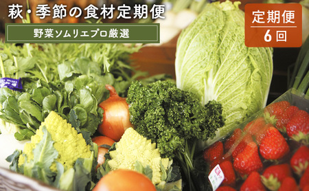【野菜ソムリエプロ厳選】萩・季節の食材定期便【6回コース】