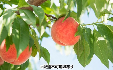もも 約2kg 有田農園 桃 フルーツ 果物 デザート モモ ※配達不可:北海道、沖縄、離島