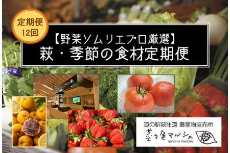【野菜ソムリエプロ厳選】萩・季節の食材定期便【12回コース】 