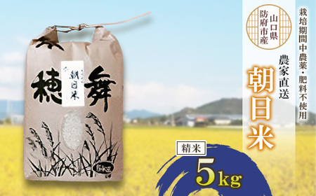 �͔|���Ԓ��_��E�엿�s�g�p�ō���������ā@����5kg_�� ������ ���� ���� ���� ������ �R�� ���� 5kg �Â� �������� ���͂� ���� ���ɂ��� ���ٓ� �_��s�g�p �엿�s�g�p �Y�n���� �Y�� �R��