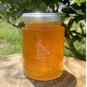 長門ゆずきちマーマレード_惣菜・加工品 ジャム 缶詰・瓶詰 _