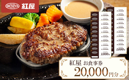 gH20,000~y1625132z