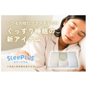 和紙生地 枕カバー SleePlus スリープラス