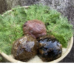 h{sYVRԂȂ܂500gyzsnFzy1687970z