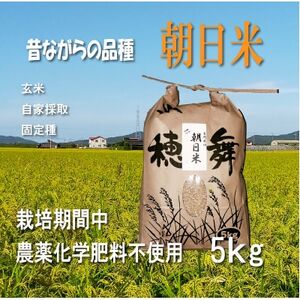 ͔|Ԓ_E엿sgpōā@5kgy1669225z