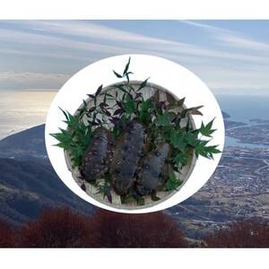 h{sYVRȂ܂1kgyzsnFzy1687984z