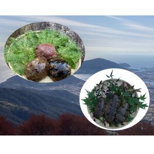 h{sYVRԂȂ܂Ȃ܂Hה׃ZbgyzsnFzy1688010z