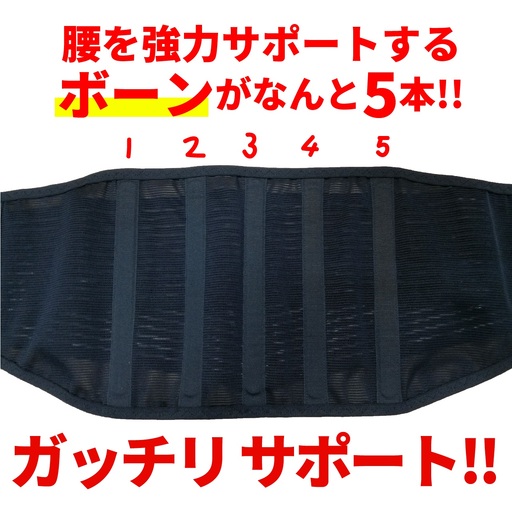 腰補助サポーター3Lサイズ 株式会社シーエス 山口県 防府市 B-D22 腰痛 ベルト 骨盤ベルト コルセット 二重ベルト 蒸れない メッシュ 腰用 サポート 幅広 姿勢 介護 日本製