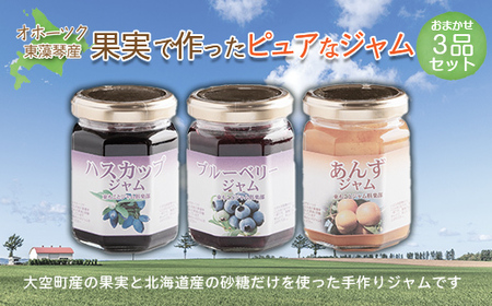 オホーツク東藻琴産の果実で作ったピュアなジャム3品セット [ ふるさと納税 人気 おすすめ ランキング ジャム ハスカップ ヨーグルト パン ケーキ 料理 ソース 加工品 北海道 大空町 送料無料 ]
