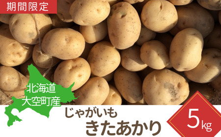 [期間限定]北海道大空町産じゃがいも(きたあかり)5kg [ ふるさと納税 人気 おすすめ ランキング じゃがいも ジャガイモ いも 芋 きたあかり 5kg カレー 北海道産 野菜 旬 北海道 大空町 送料無料 ]