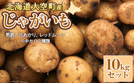 [数量限定]北海道産 じゃがいも 10kgセット 及び(込み玉、土付き) OSAA001 