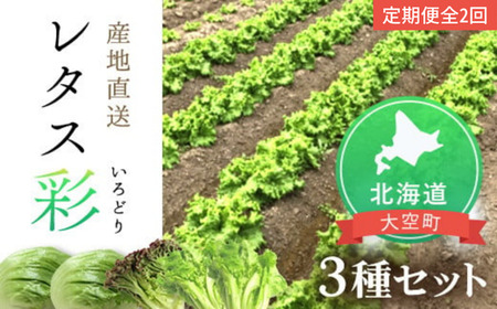 【定期便】レタス彩(いろどり)3種セット全2回（2025年9月より順次発送） 【 ふるさと納税 人気 おすすめ ランキング レタス れたす 野菜 葉野菜 定期配送 定期便 北海道 大空町 送料無料 】 OSU002