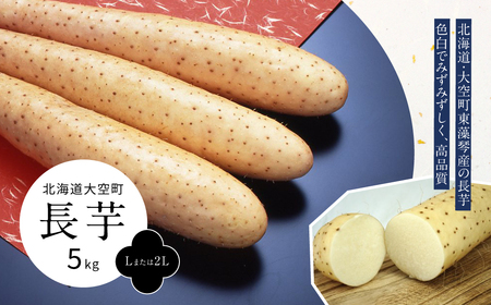 長芋5kg（Lまたは2L） 【  ふるさと納税 人気 おすすめ ランキング ながいも 長いも 長芋 高品質 色白 白い みずみずしい 東藻琴 網走 とろろ 短冊 刺身 山かけ お好み焼き 塩焼き おいしい ネバネバ シャキシャキ ホクホク 新鮮 農産物 北海道 大空町 送料無料 】 OSM007
