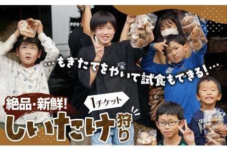 �y����i�E�V�N�������������I�z�������Ă��Ă��Ď��H���ł��邵���������I�t�@�~���[�E�����E�J�b�v���Ɂ��� �^ �̌��`�P�b�g ���n�̌� �ő� �V�C�^�P �n�E�X �J�V�� �R���� No.207