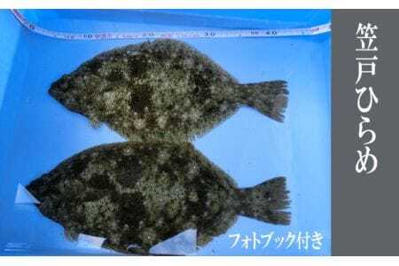 �}�˂Ђ�� �^ �� �q���� � �R���� ���Y�i No.003