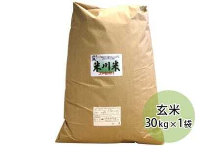 �Đ삱���Ђ���@���ā@30kg �^ ���� �R�V�q�J�� �R���� �󏭕i ���Y�i No.027