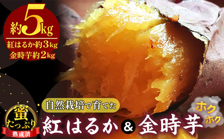 ���R�͔|�ň�Ă��������Ղ�g�͂邩���z�N�z�N�������@���n���ρ� ��5kg �^ ���_�� ���Y��� �����w�엿 ���܂��� �� ���� �g���g�� ����� �z�N�z�N �Ă��� �V�Ղ� �ϕ� �X�C�[�g�|�e�g