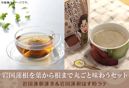 岩国蓮根を葉から根まで丸ごと味わうセット(岩国蓮根蓮茶&ミルクで飲む岩国蓮根はす粉ラテの素)[池本食品]