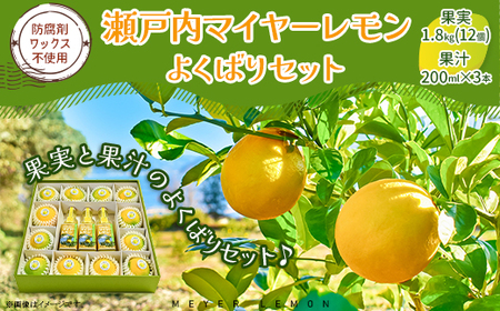 瀬戸内マイヤーレモン よくばりセット 果実 果汁 食べ比べ 飲み比べ 化粧箱入り レモン オレンジ 交配 品種 果汁 100% ジュース お酒 ドレッシング おすすめ 檸檬 れもん 柑橘 みかん 蜜柑 フルーツ