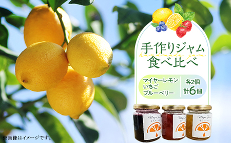 無添加 手作りジャム 6個 食べ比べ (いちご ブルーベリー マイヤーレモン 各2個入り)