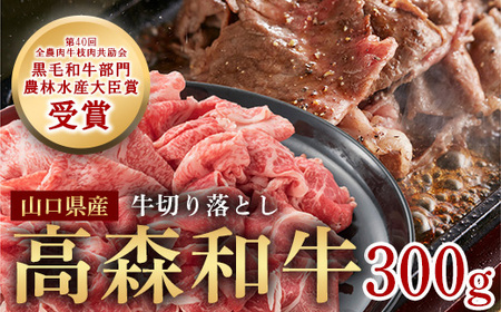 RY Xa ؂藎Ƃ 300g јa