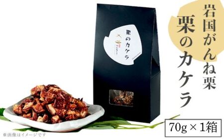 ⍑ˌI ĨJP 70g Y FyˌI̗z