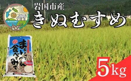 きぬむすめ 5kg 岩国市産 精米[いわくにアグリパートナーズ]