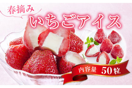 春摘み いちごアイス(50粒)金賞受賞 一口アイス ヒカリ乳業