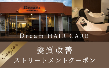 AV01 Dream HAIR CARE PXg[ggN[|