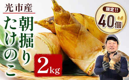 光市産朝掘りたけのこ 2kg [2026年4月上旬から4月中旬にかけて順次発送予定] 山口県光市産 たけのこ 筍 タケノコ 国産 野菜 旬 新鮮 採りたて 煮物 味噌汁 炊き込みご飯