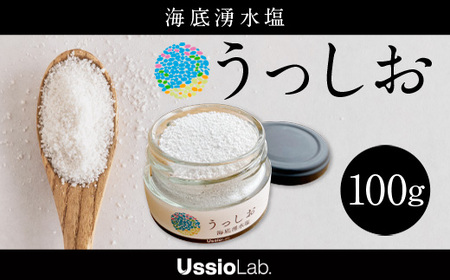 海底湧水塩うっしお 100g