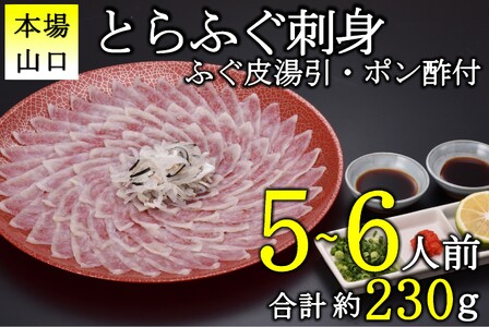 [配送日指定可] とらふぐ刺身 5-6人前 冷凍 ふぐ皮湯引き てっさ 刺し トラフグ フグ 最高級とら 父の日 母の日 イベント お中元 お歳暮 贈答用 ギフト 熨斗 のし 大人気 山口県 本場トラフグ 職人 板前 専門店 (10101)