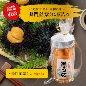 紫うに 瓶詰め 50g 5本 ムラサキウニ 山口県 長門市産 地物 国産 冷凍 (1629)