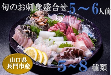 (1316)刺身 刺身盛り合わせ 「旬のお刺身盛り合わせ」 仙崎 地魚 5〜6人前 冷蔵 新鮮 配達不可エリア有り 新潟 東北 北海道 沖縄 配達不可 配送日時指定可能