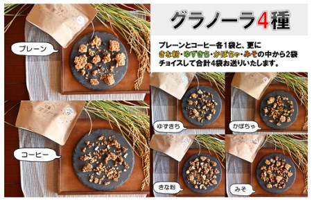 (1029)グラノーラ 4種 プレーン 珈琲 米粉 野菜 果物 健康 朝ごはん 詰合せ セット 期間限定 お取り寄せ 長門市 山口県 シリアル 軽食 おやつ 保存料不使用