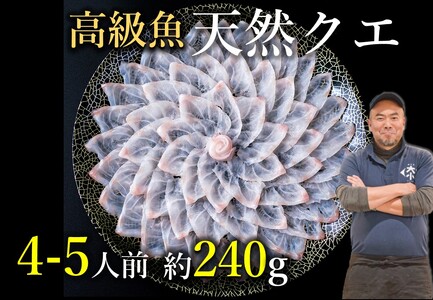 (1355)幻の高級魚 クエ刺身(薄造り) 4〜5人前 240g 冷凍 山口県 長門市 仙崎港水揚げ