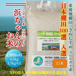 (1903)米 お米 白米真空パック 定期便 定期 毎月 毎月コース 白米 精米 きぬむすめ 真空 真空パック 小分け ごりやく米 「東後畑棚田きぬむすめ」 4.5 kg(1.5kg×3個) 棚田 長門市 お米の定期便 定期購入