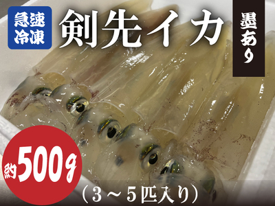 (10068)剣先イカ 冷凍 墨あり 急速冷凍 真空パック 約500g 3〜5杯 長門市
