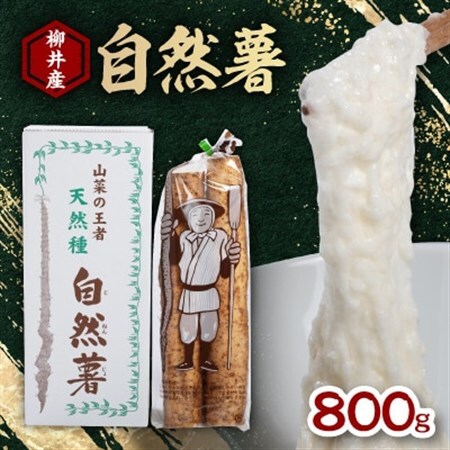 国産自然薯800g【配送不可地域：離島】【1620191】