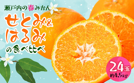せとみ&はるみの食べ比べ_果物・フルーツ 柑橘 _