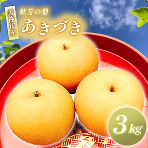 美祢市産 あきづき( 3kg ) 先行予約 [ 2025年9月下旬頃 〜 発送予定 ]| あきづき なし 梨 フルーツ 特産品 美祢市 美祢 山口県 山口 秋芳町 秋芳 秋芳の梨 カルスト台地 先行予約