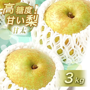 甘太 ( かんた ) 3kg 先行予約 ( 2025年9月下旬 〜 発送予定 ) | フルーツ 果物 くだもの 梨 なし ナシ 3キロ 特産品 山口県 山口 美祢市 美祢 秋芳 秋芳町 カルスト台地 期間限定