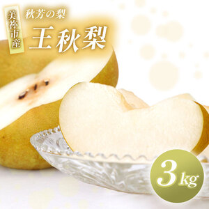 美祢市産 王秋梨 3kg 先行予約 [2025年 11月中旬頃 〜 発送予定]| 王秋梨 なし 梨 フルーツ 特産品 美祢市 美祢 山口県 山口 秋芳町 秋芳 秋芳の梨 カルスト台地 先行予約
