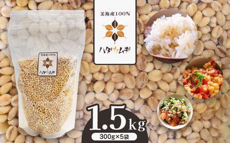 はだか麦 5袋セット | 麦 はだか麦 セット ヘルシーフード 味噌 麦茶 特産品 美祢市 美祢 山口県 山口