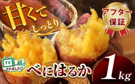甘くておいしい!べにはるか 1kg 先行予約 [ 2025年9月中旬 〜 12月 の期間より順次発送予定 ]| さつまいも サツマイモ 芋 いも 野菜 紅はるか べにはるか 1kg 5kg 10kg