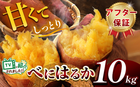 ÂĂIׂɂ͂邩 10kg s\  2025N9{ ` 12 ̊Ԃ菇\ b ܂ Tc}C    g͂邩 ׂɂ͂邩 10kg