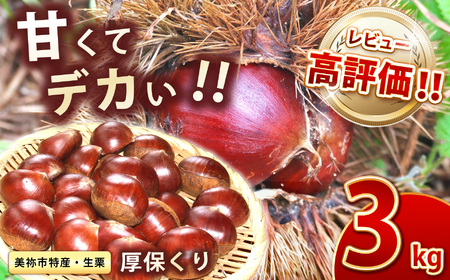 [先行予約]甘くて デカい ! 厚保くり 3Lサイズ ( 生栗 ) 3kg 山口美祢産 先行予約 [ 2025年11月6日 〜 11月中旬 発送予定] 