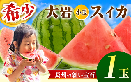 甘くて 果肉 たっぷり! 大岩 こだま スイカ 1玉 「 神秘の里 大岩郷 よりお届け 長州の紅い宝石 」 先行予約 [ 2026年 7月下旬 〜 8月頃 発送予定 ]