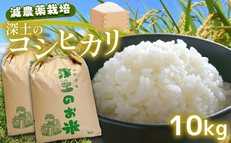 令和7年産 新米 深土の特別米コシヒカリ 10kg ( 5kg × 2袋 )|令和7年産 有機肥料 減農薬 米 コシヒカリ 精米 山口 美祢 秋吉台 10kg