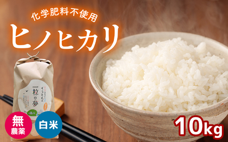 【長期保存袋入り】令和5年新米　京都玄米   ヒノヒカリ　農薬不使用　60キロ30キロ✖️2袋